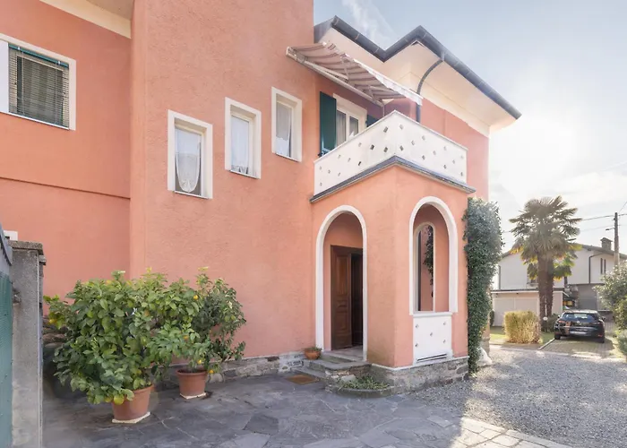 La Rossa Camelia * קנוביו